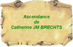 parchemin-ancien1.png