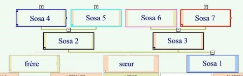 arbre-t.jpg