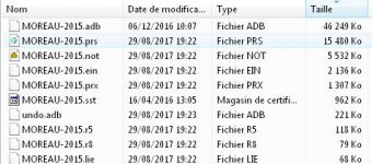 Fichiers-gw2.jpg