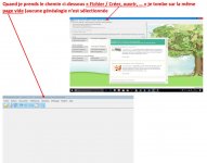 Généatique 02.jpg
