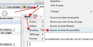 txt-prédef2.jpg