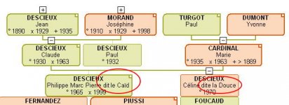 caid.jpg