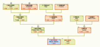 4branches.png
