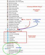 3. Geneatique BREGER JPB.gw2 - Structure Dossier_Images.jpeg