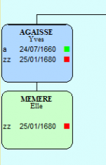arbre 3.PNG