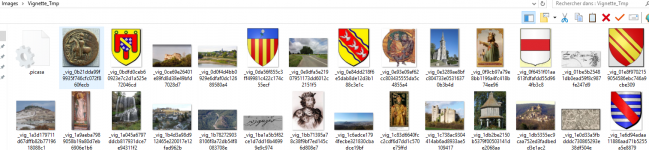 Vignette-Tmp.png