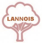 Q1b_JJL_LANNOIS.jpg