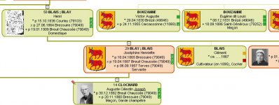4branches.jpg 4branches.jpg
