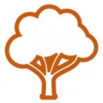 arbre_ident_quartiers_06.jpg