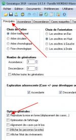 option2.jpg