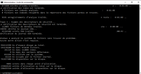 Capture chkdsk.PNG