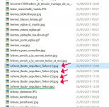 GT_doublons.jpg