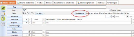 Professions.png