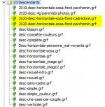 2020desc_hor.jpg