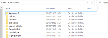 Capture2dossiers.PNG