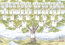 Arbre 1.jpg