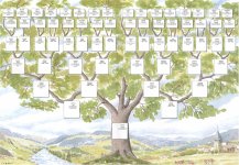 Arbre modifié.jpg