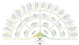 arbre-demi-cercle.jpg