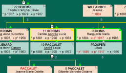 filiations.png