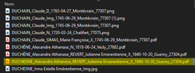 pdf ne se supprime pas.png pdf ne se supprime pas.png
