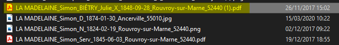 bug pdf.png
