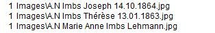 Chemin 1.JPG