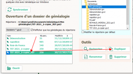 dupliké.png
