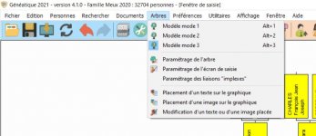 2e Fichier erreur généatique21.jpg