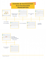 Anomalie de fonctionnement de la fonctionnalité TRANSCRIPTION_2021-02-18_16-41-18.png