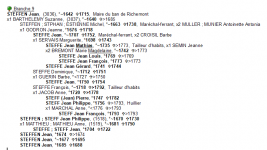 recherche-branche.png