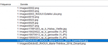 Capture d’écran 2021-06-08 161329.png