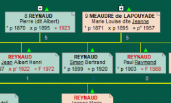 arbre-initial.png