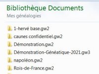 Mes généalogies.JPG