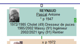 arbre-prof.png