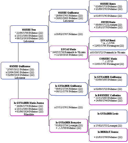 Arbre généalogique ascendant