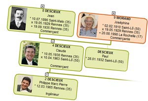 Les arbres généalogiques dessinés par le logiciel Généatique