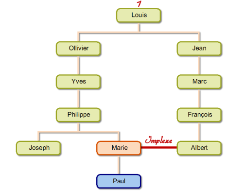 L'implexe en généalogie, un mariage entre cousins