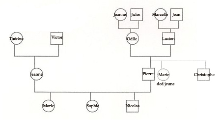 génosociogramme